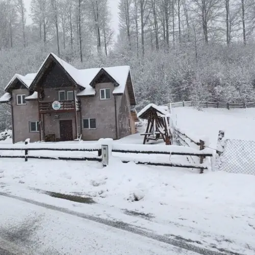 Casa Vânătorului Buzăiel - foto 7