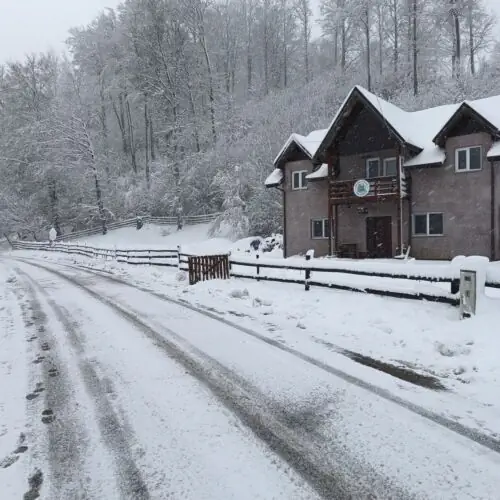 Casa Vânătorului Buzăiel - foto 9