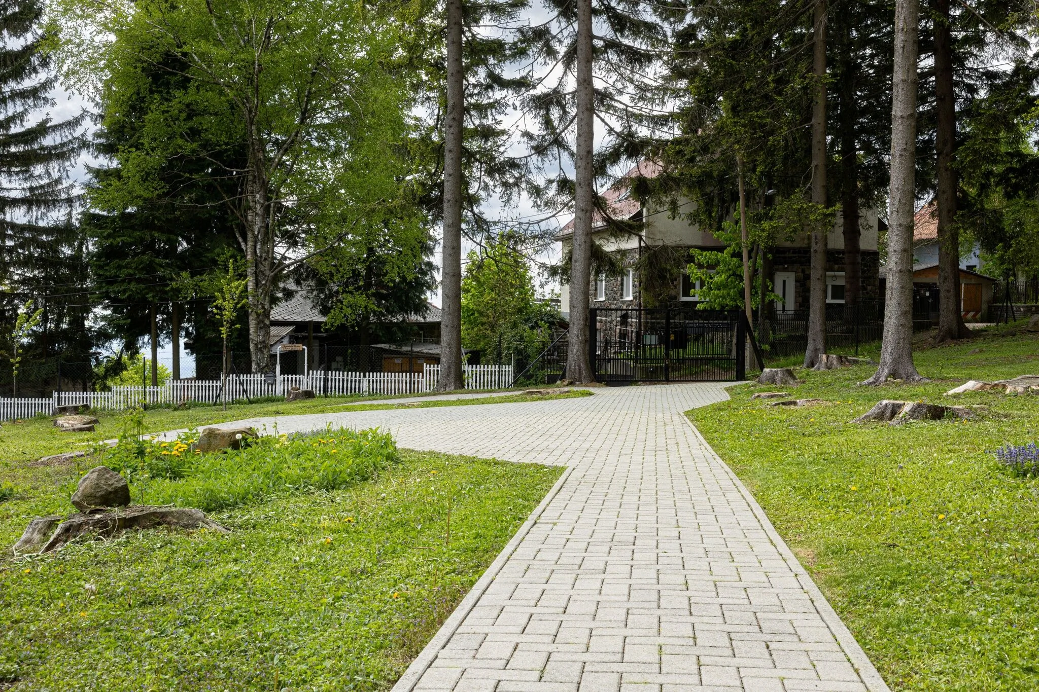 Galyatető Alkotóház Mátraszentimre - foto 7