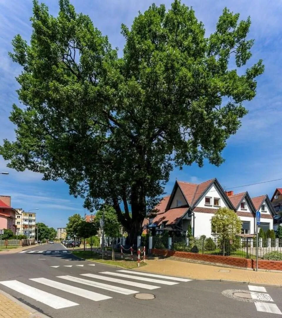 Złota Regalinda & Spa Międzyzdroje – Międzyzdroje, Polska