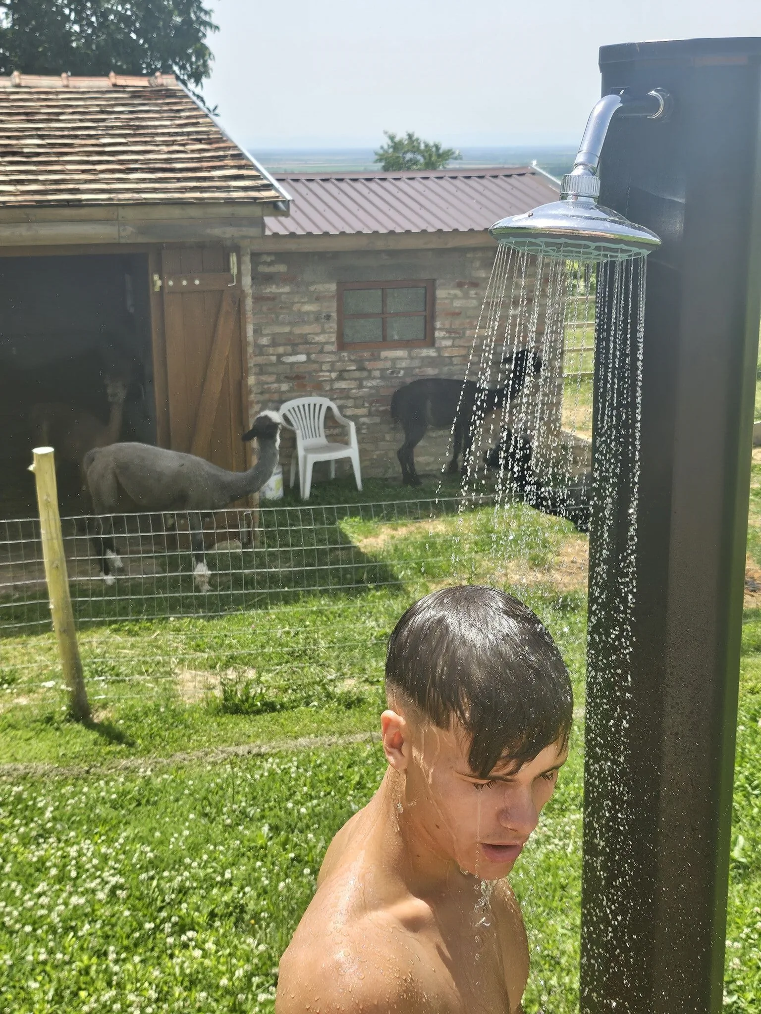 Alpaka Bakonya Svábház – Bakonya, Ungaria
