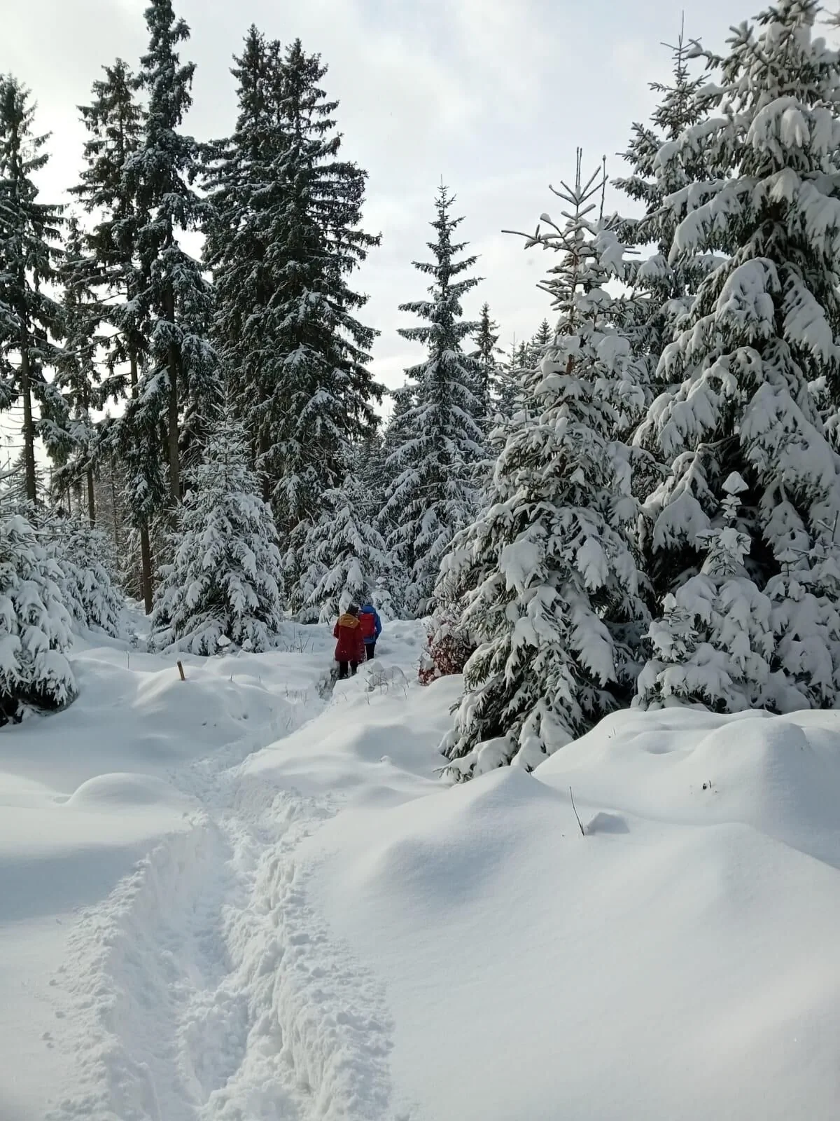 Ski apartmán pod Zadovem – Stachy, Republica Cehă