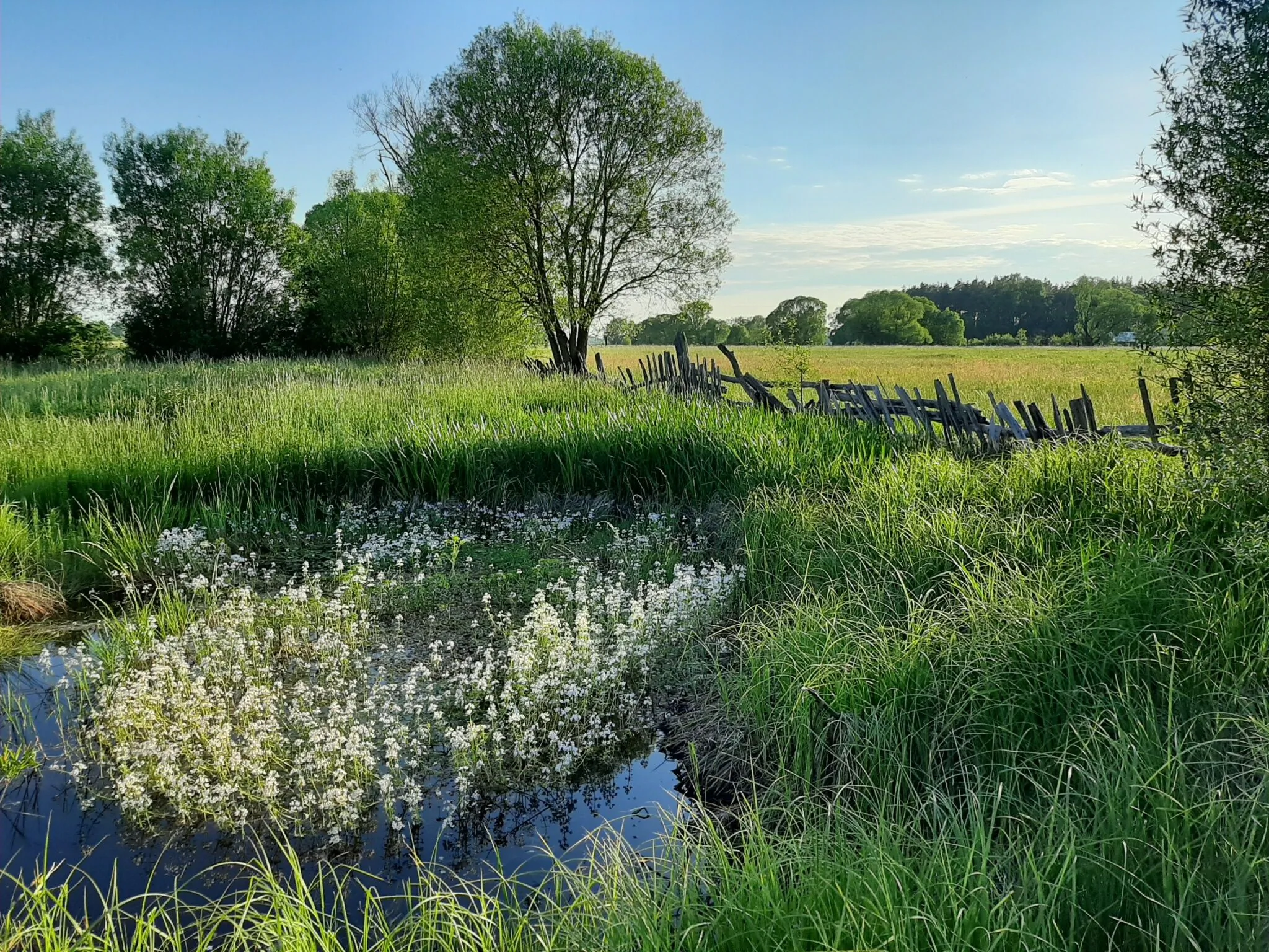 Agroturystyka Żubr – Siemianówka, Polska
