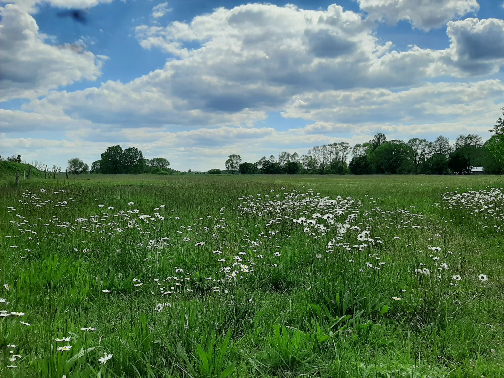 Agroturystyka Żubr – Siemianówka, Polska