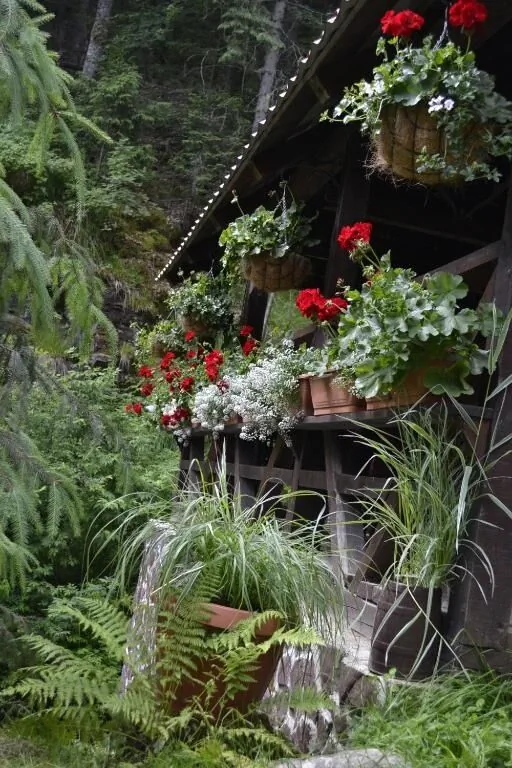Cabana Varciorog Arieșeni – Arieşeni, România