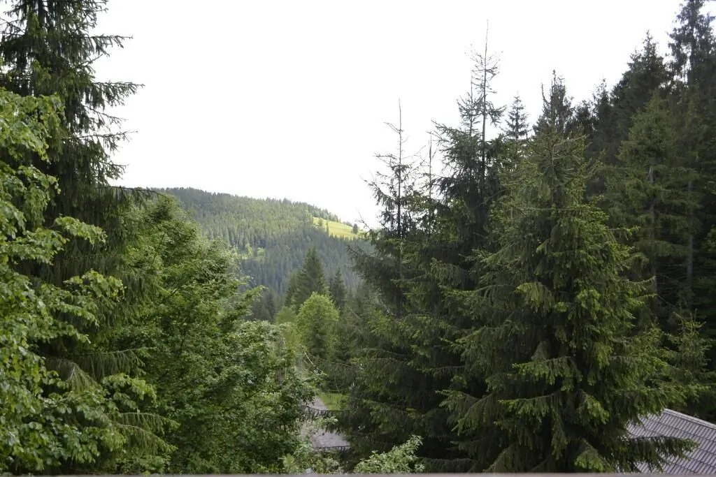 Cabana Varciorog Arieșeni – Arieşeni, România