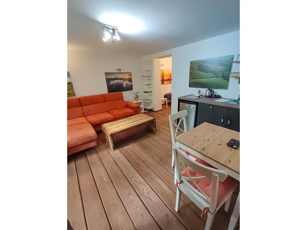 Apartament Winnica by Rentoom Toruń - foto 6