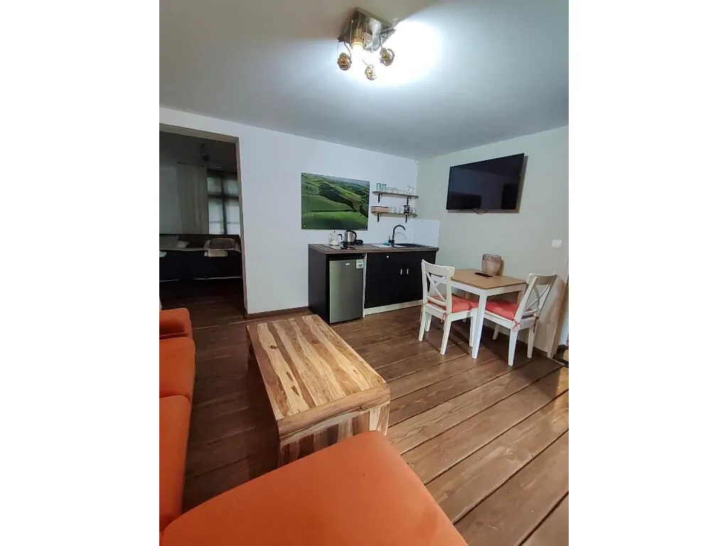 Apartament Winnica by Rentoom Toruń - foto 2