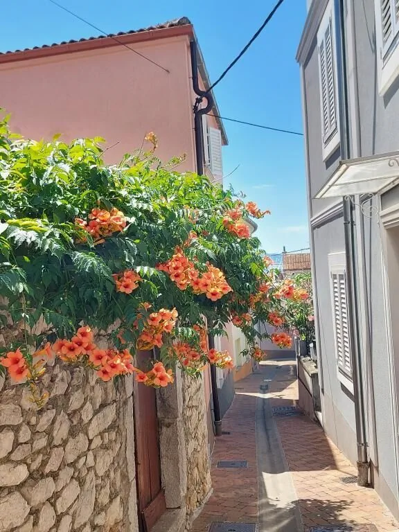 Apartments Izabela Crikvenica II - foto 5