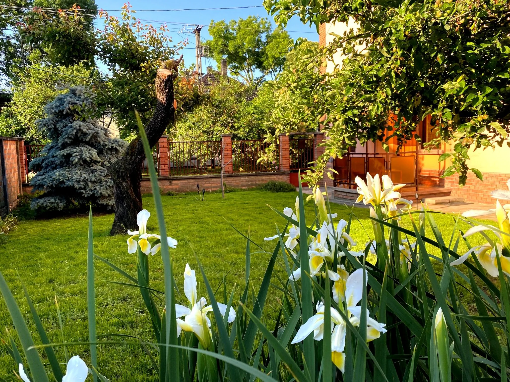 Júlia Apartmanház Szeged - foto 2