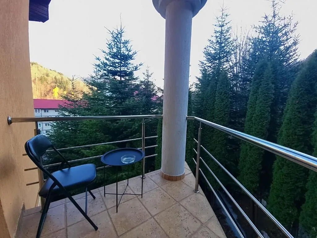 Marble Villa: Luxury Estate - Central but Intimate Sinaia – Sinaia, România