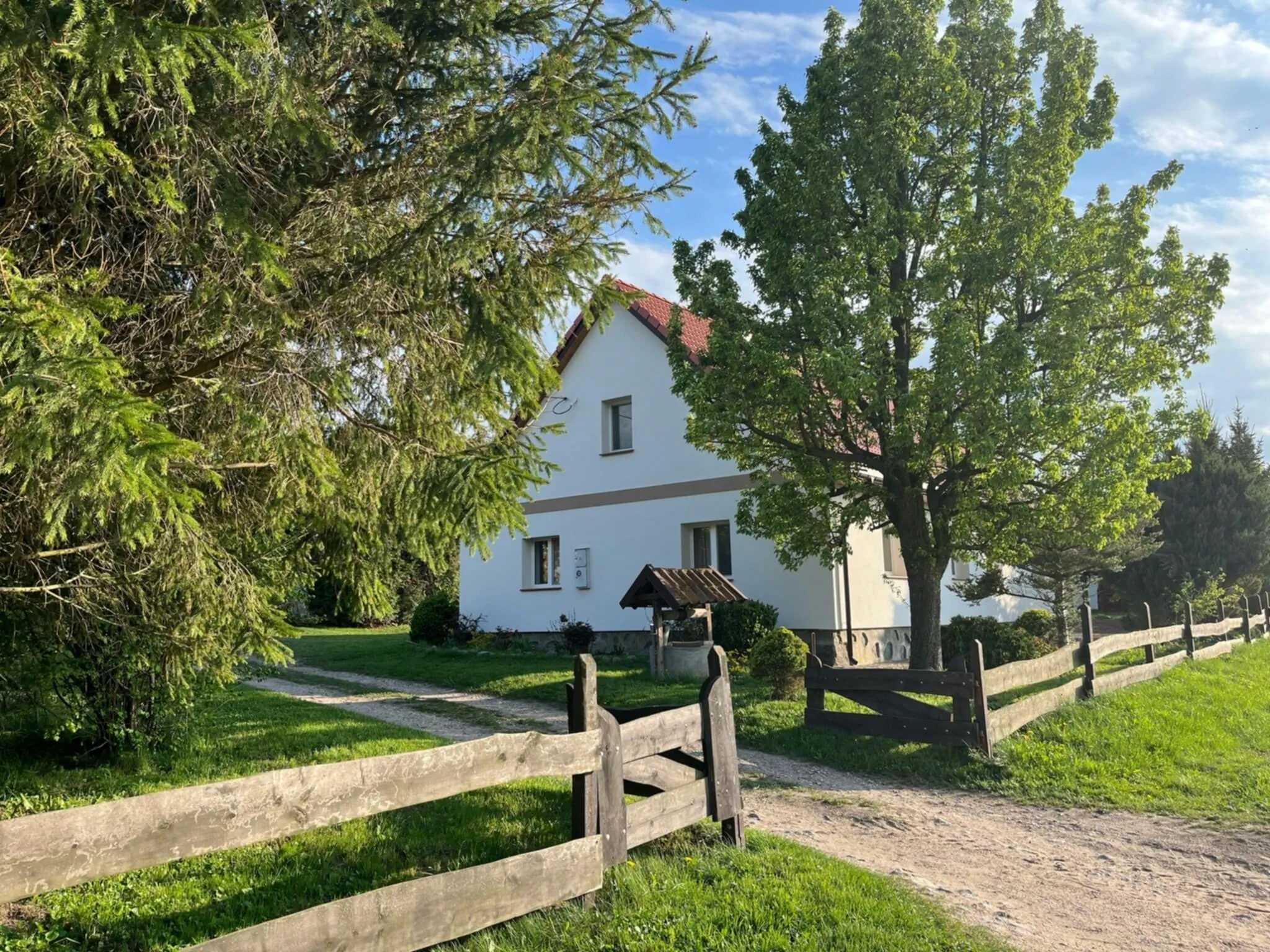Między lasem a jeziorem Czarnówka  – Czarnówka, Polonia