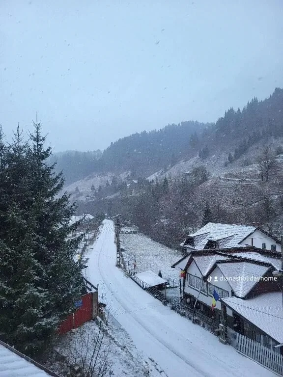 Diana's Holiday Home Sătic – Sătic, România