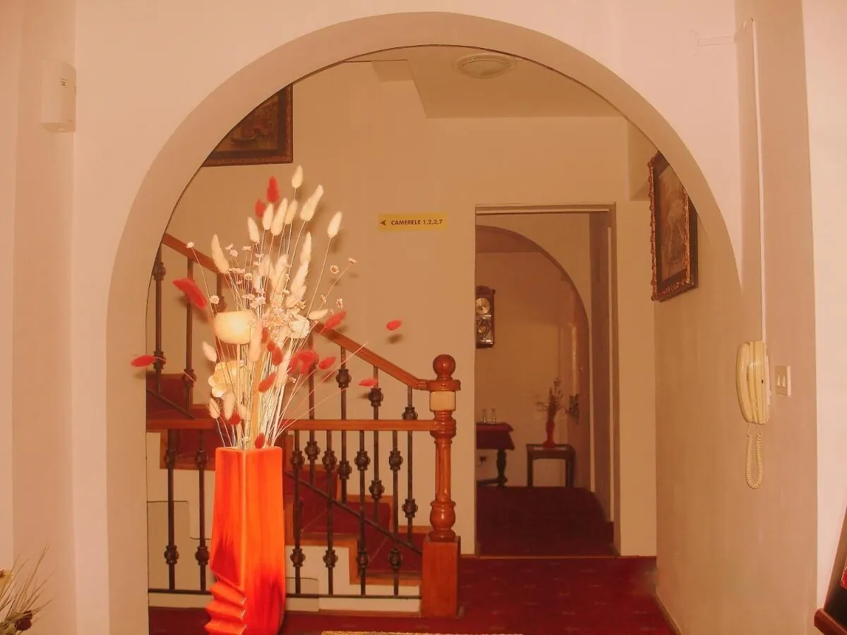 Villa-Hotel Escala Cluj-Napoca - foto 6