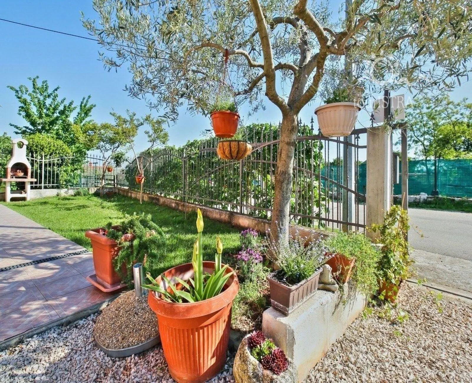 Apartmani Lorena Umag - foto 5