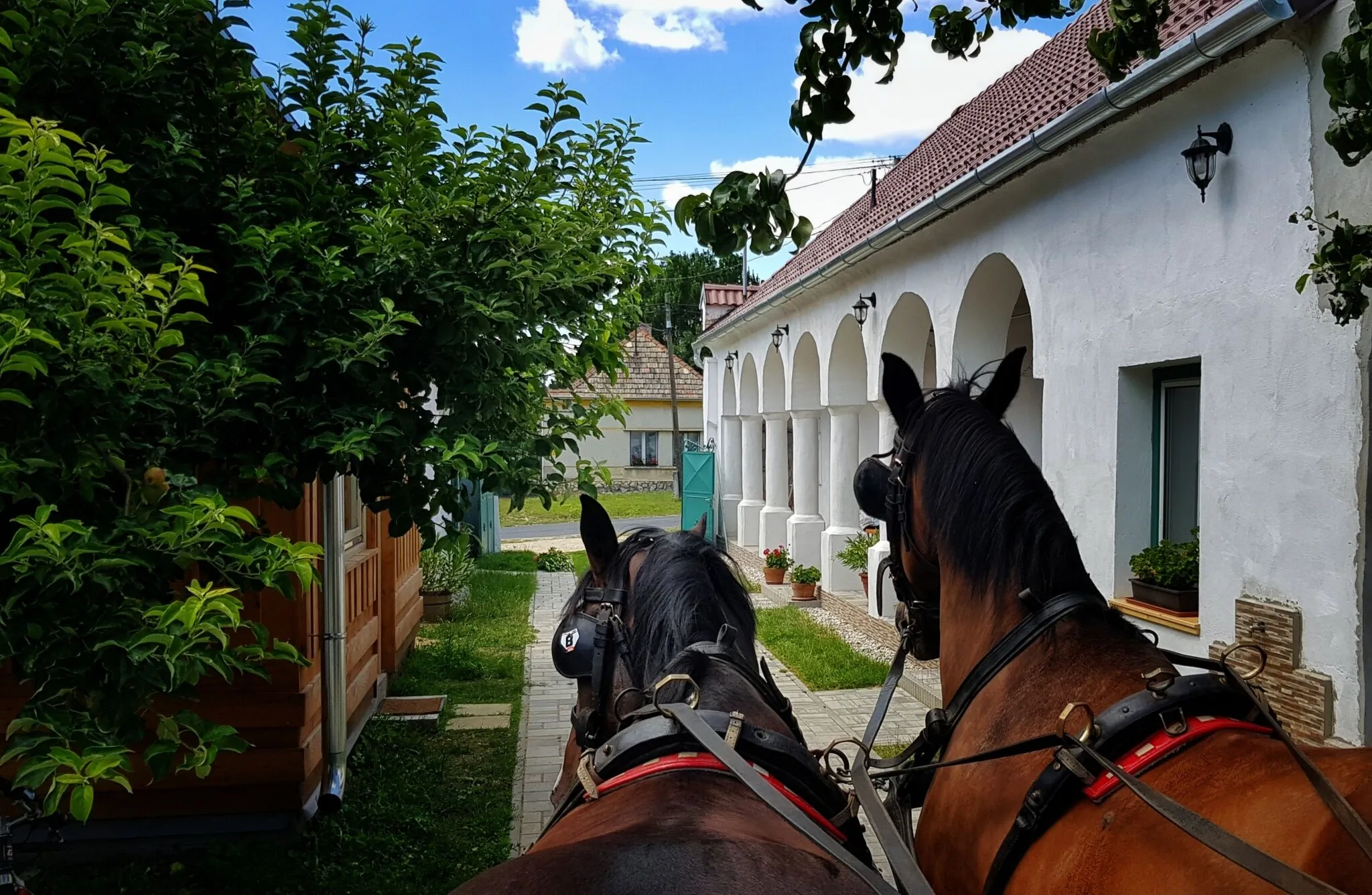 Green Village House Vendégház Ganna – Ganna, Ungaria