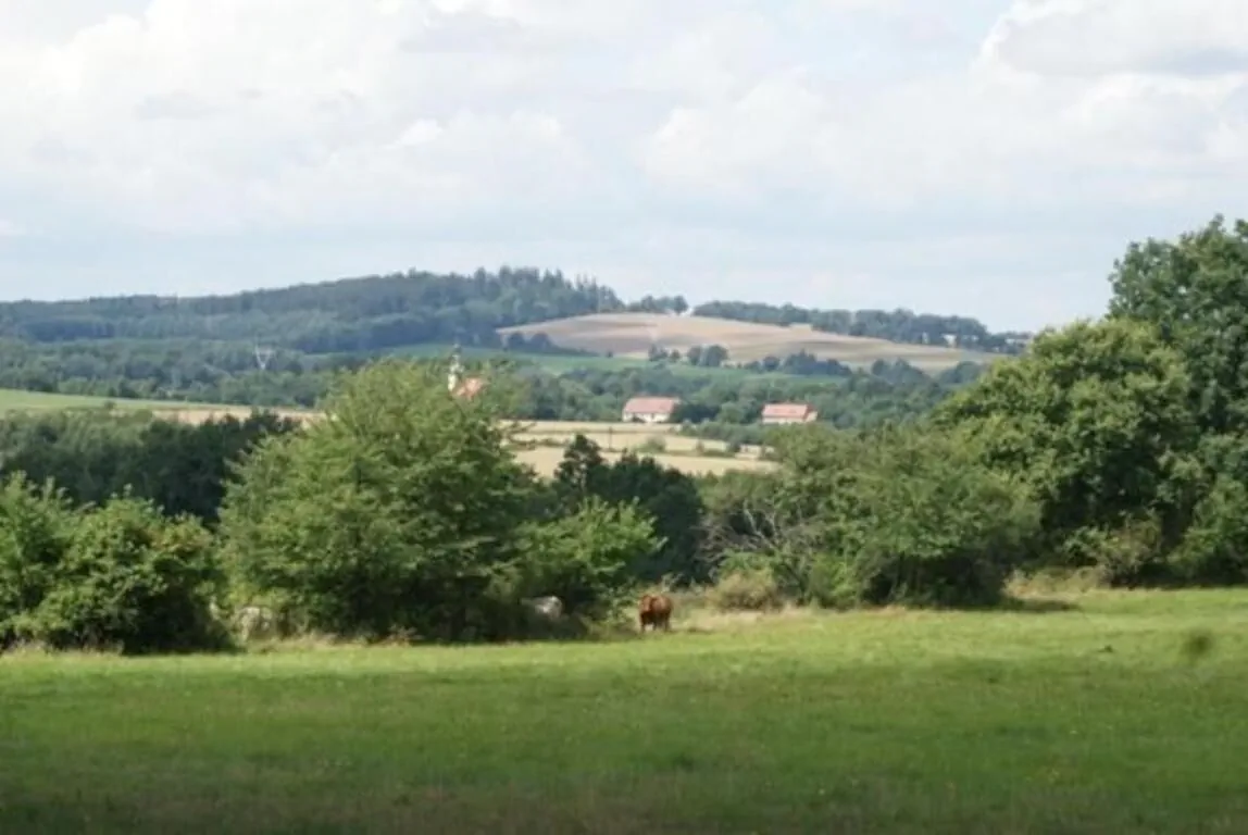 Izerski dom  – Leśna, Polsko