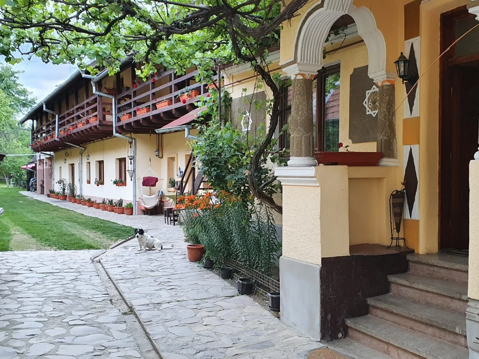 Pensiunea Leia Cârțișoara – Cârţişoara, România