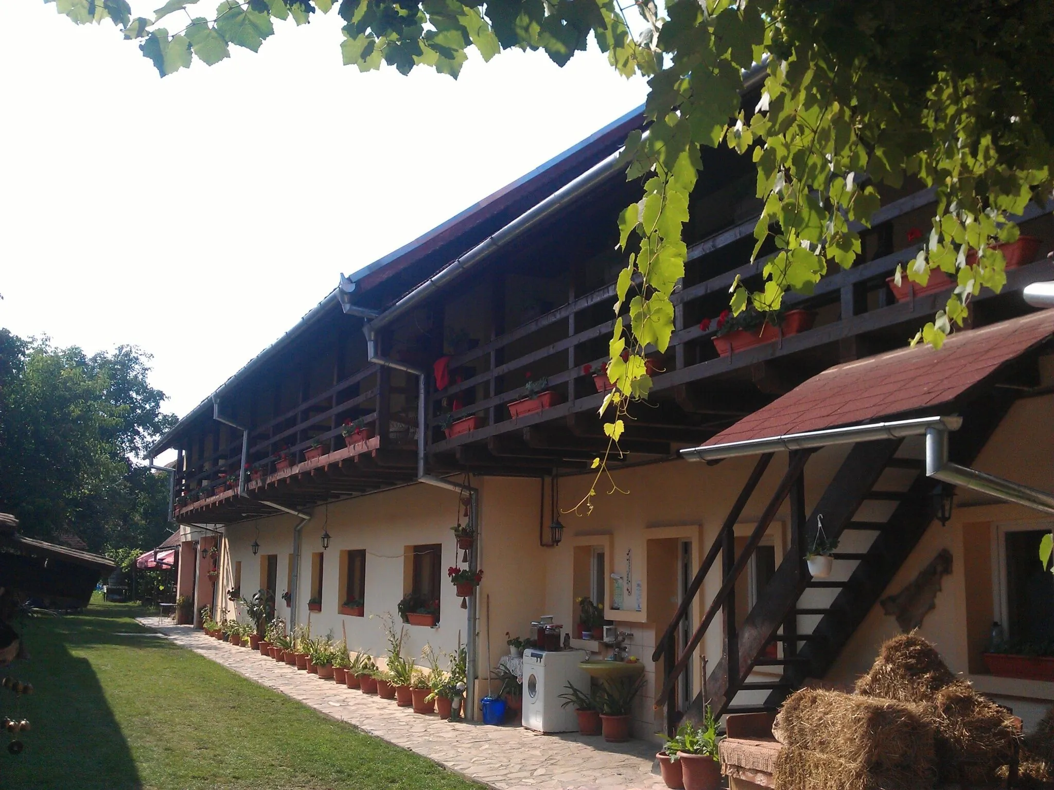 Pensiunea Leia Cârțișoara – Cârţişoara, România