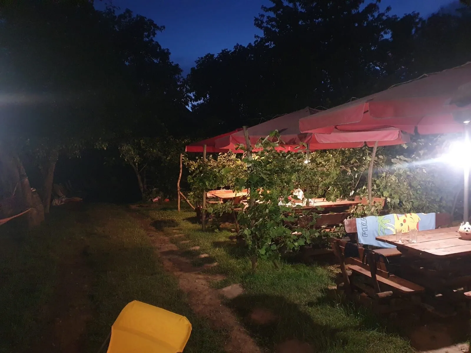Pensiunea Leia Cârțișoara – Cârţişoara, România
