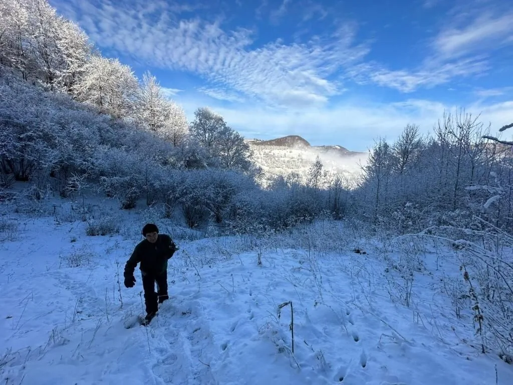 Casuță de sub munte Lopătari – Lopătari, România