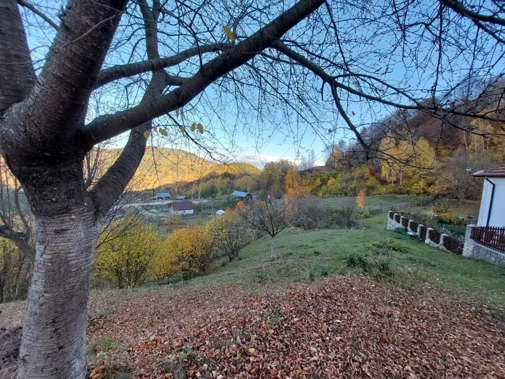 Casuță de sub munte Lopătari – Lopătari, România