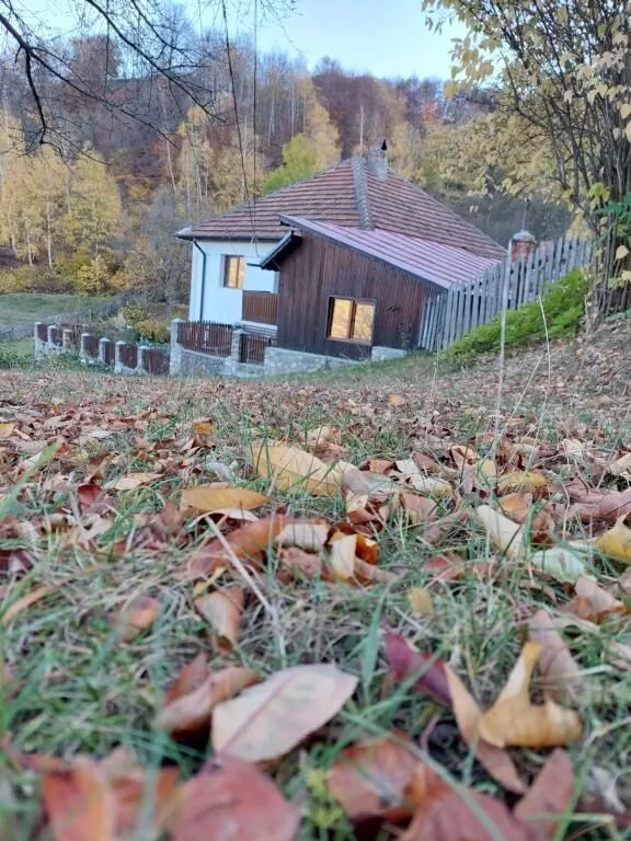Casuță de sub munte Lopătari – Lopătari, România