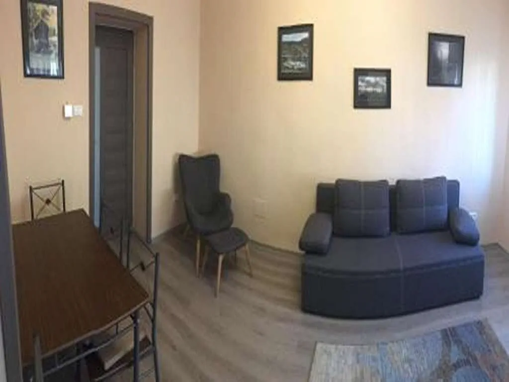 Apartament Milan House Arad - foto 7