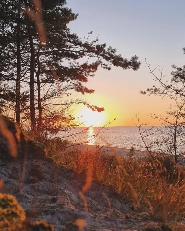 Posesja Plażowa Premium - Apartments & SPA Grzybowo – Grzybowo, Polonia