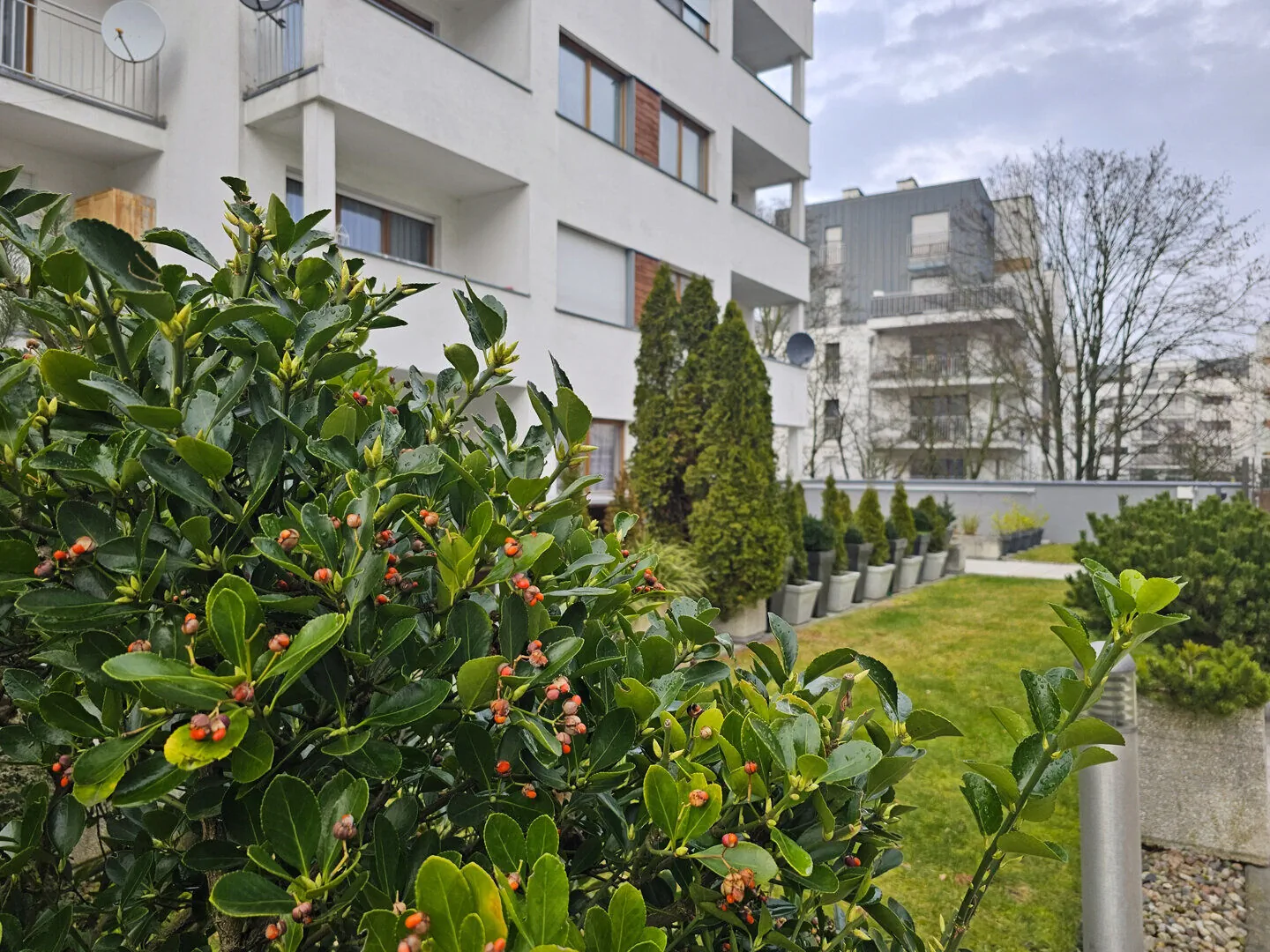 visit baltic - Platan Family CH12 - foto 3