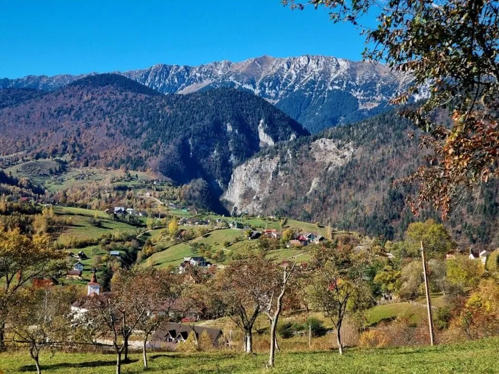Pensiunea Mosorel Măgura – Măgura, România