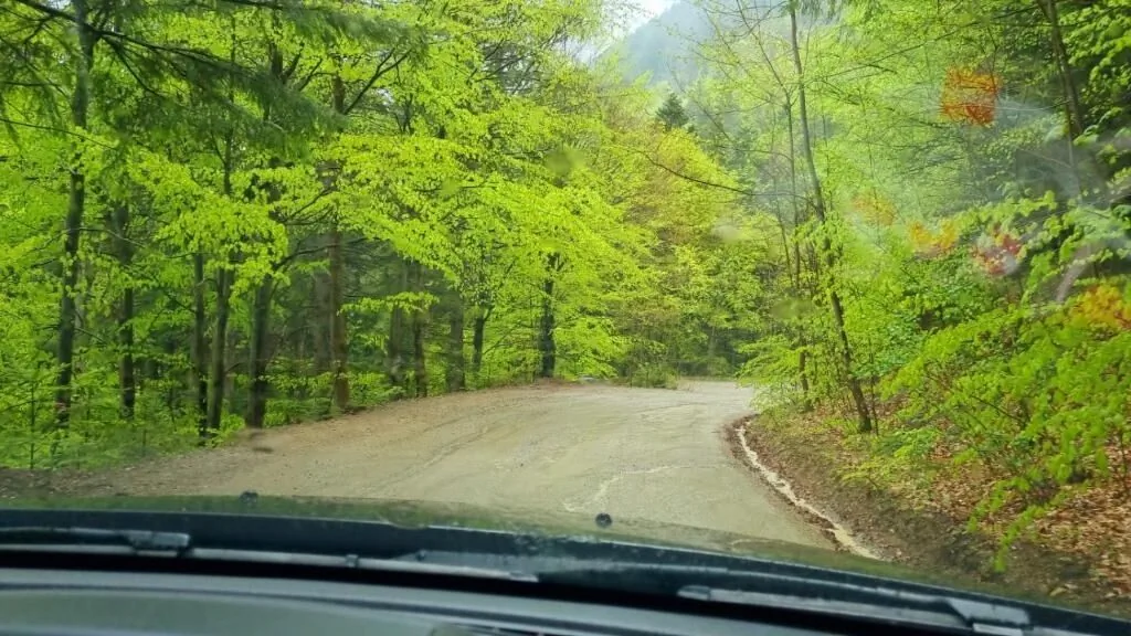 Pensiunea Mosorel Măgura – Măgura, România