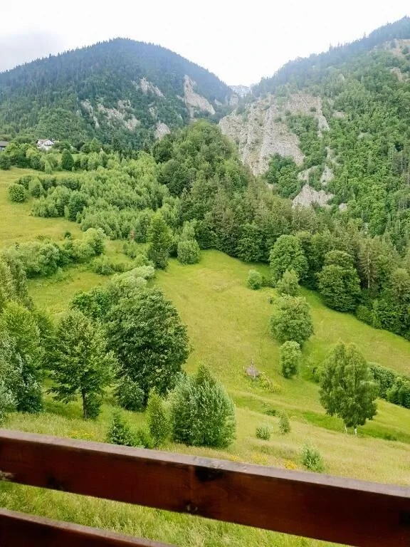 Pensiunea Mosorel Măgura – Măgura, România