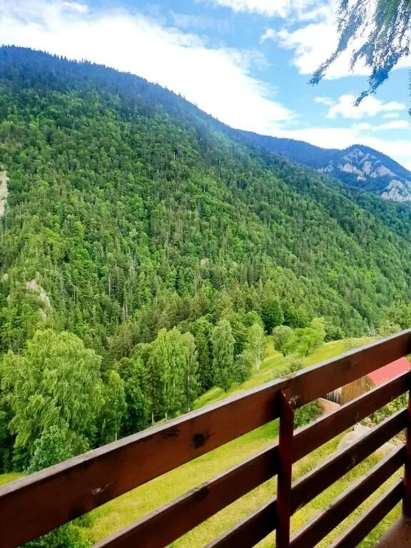 Pensiunea Mosorel Măgura – Măgura, România