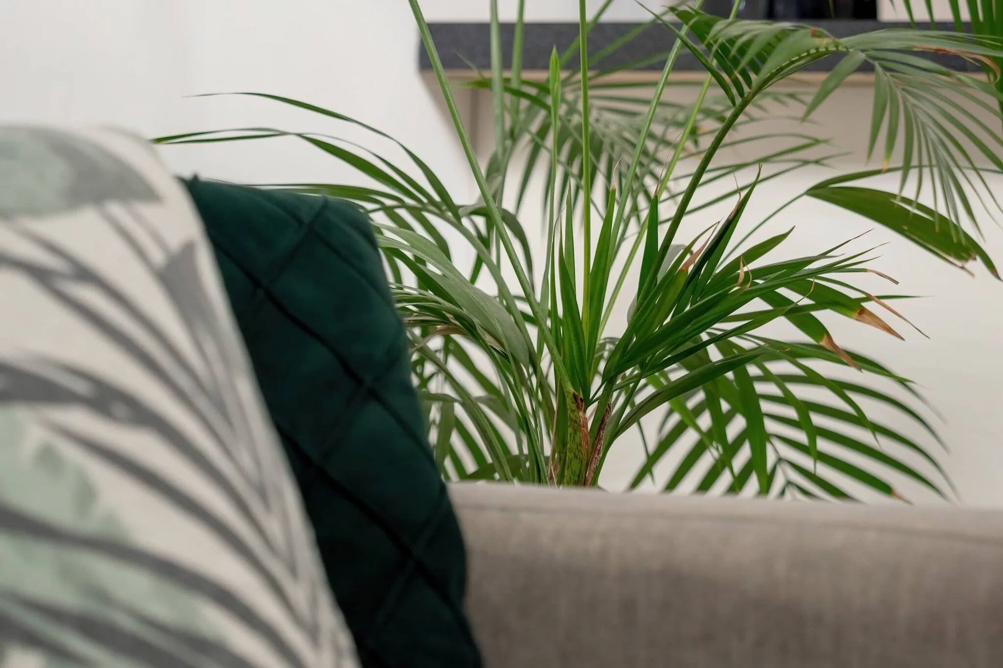 Legionów 61 | Elegancki apartament | Balkon, Garaż | Łódź - foto 5