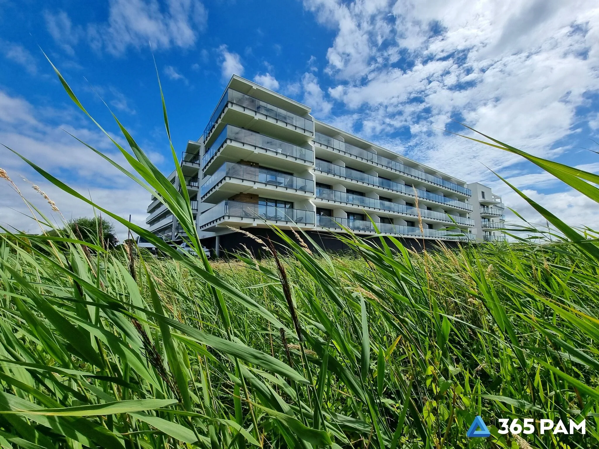 365PAM - Apartament Oliwny Gaj Westin House Resort - Kołobrzeg - foto 5