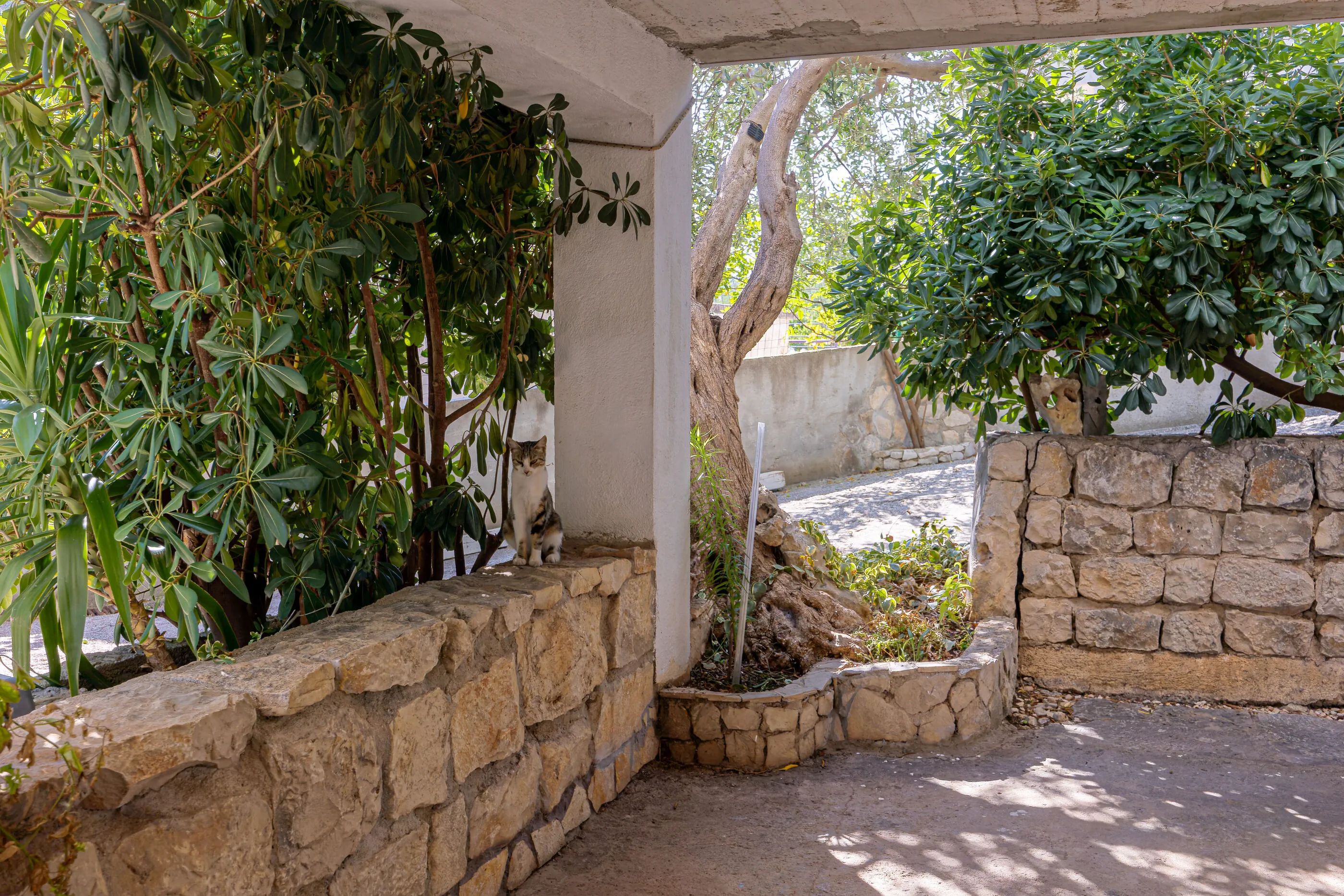Apartments Naki Slatine – Slatine, Chorwacja