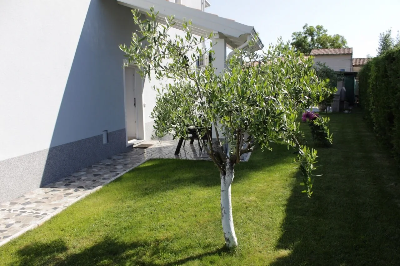 Apartments TITONEL Savudrija – Savudrija, Chorwacja