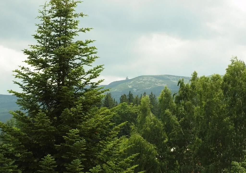 Aura Szklarska Poręba – Szklarska Poręba, Polska