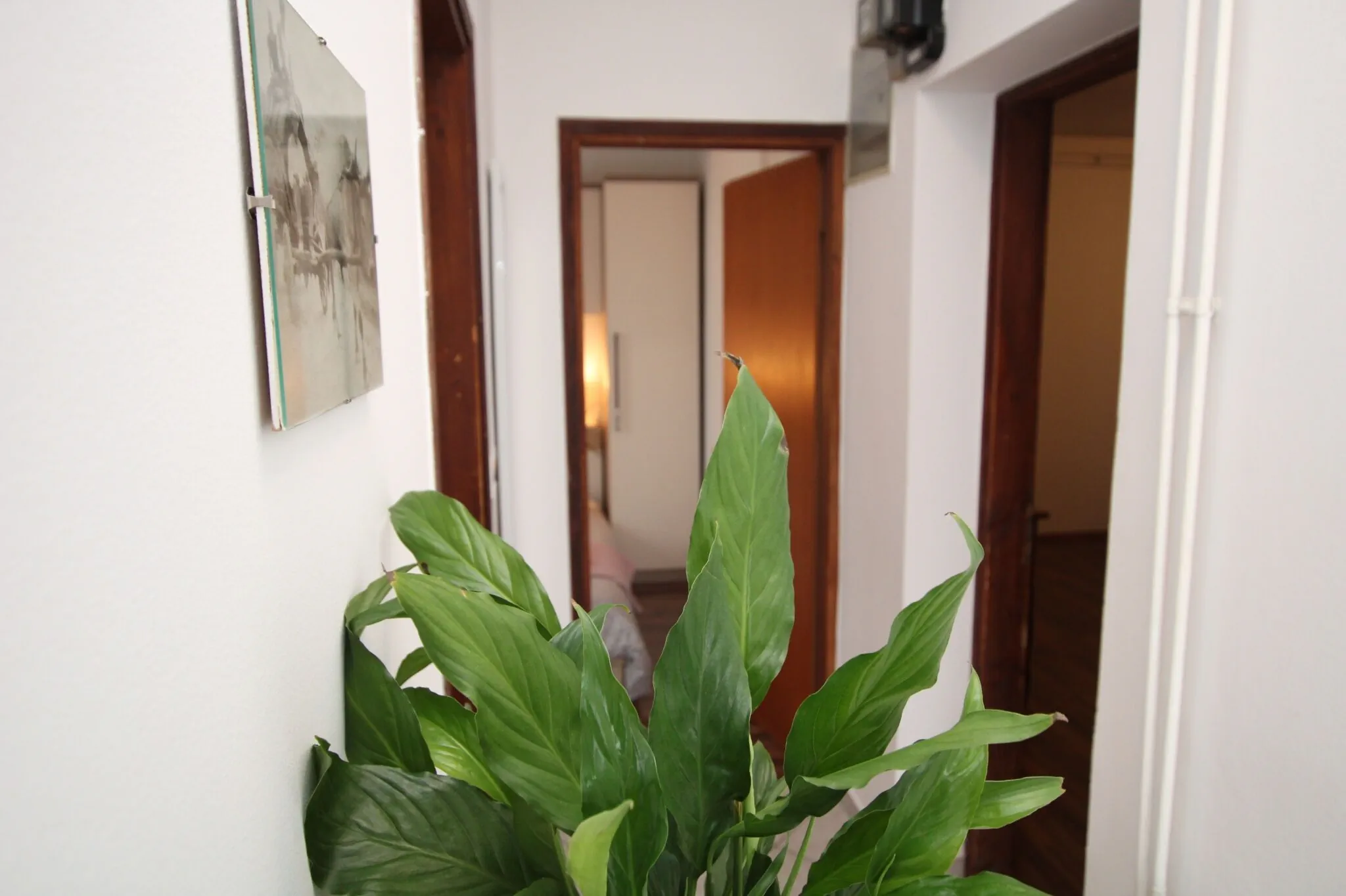 Apartments Alba Adria Poreč – Poreč, Croația