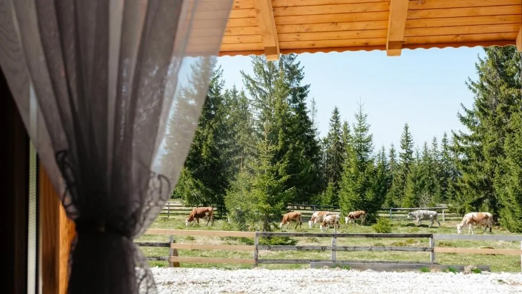 Casa din Deal Mărișel  – Mărişel, România