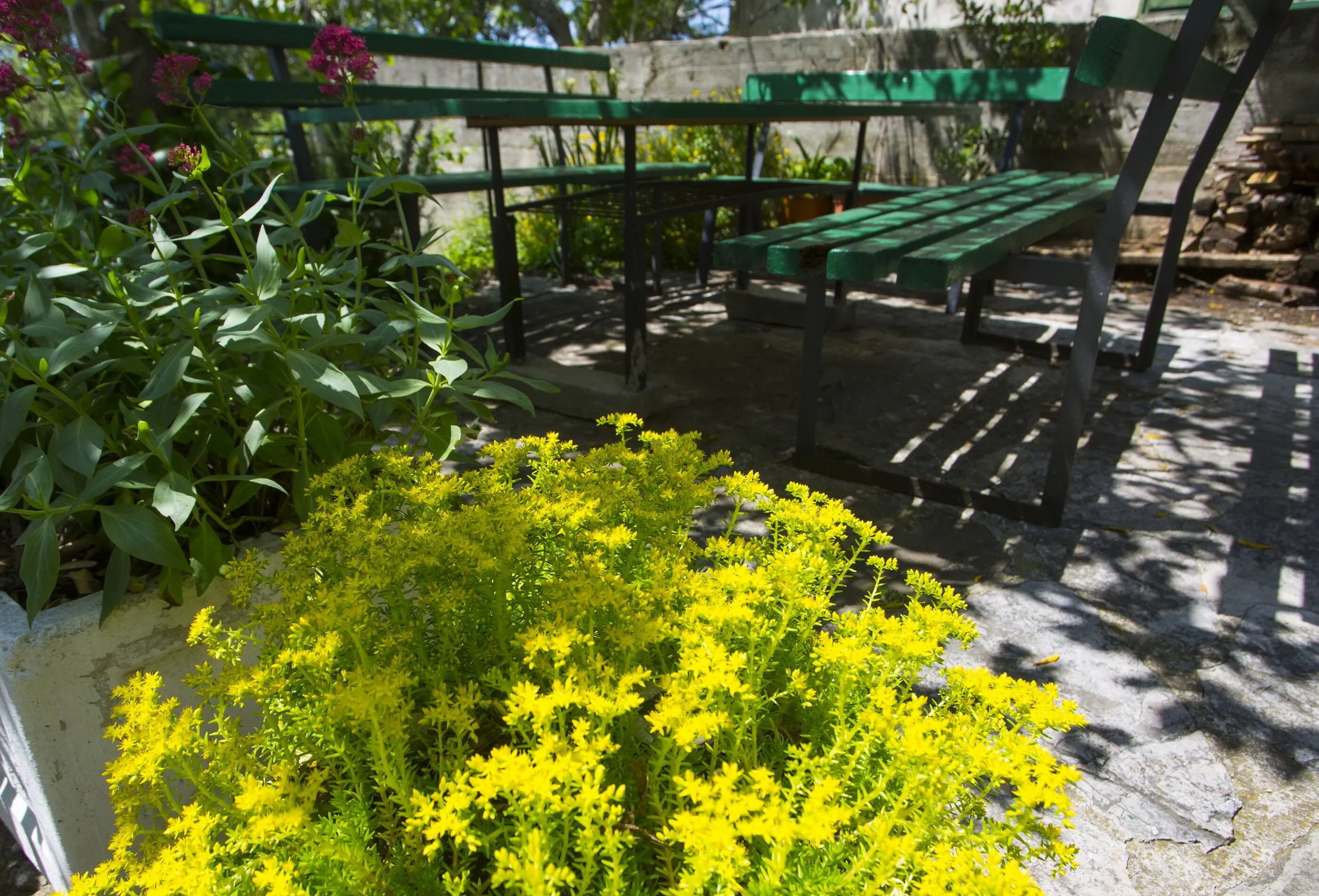 Apartments Lendić Podgora - foto 5