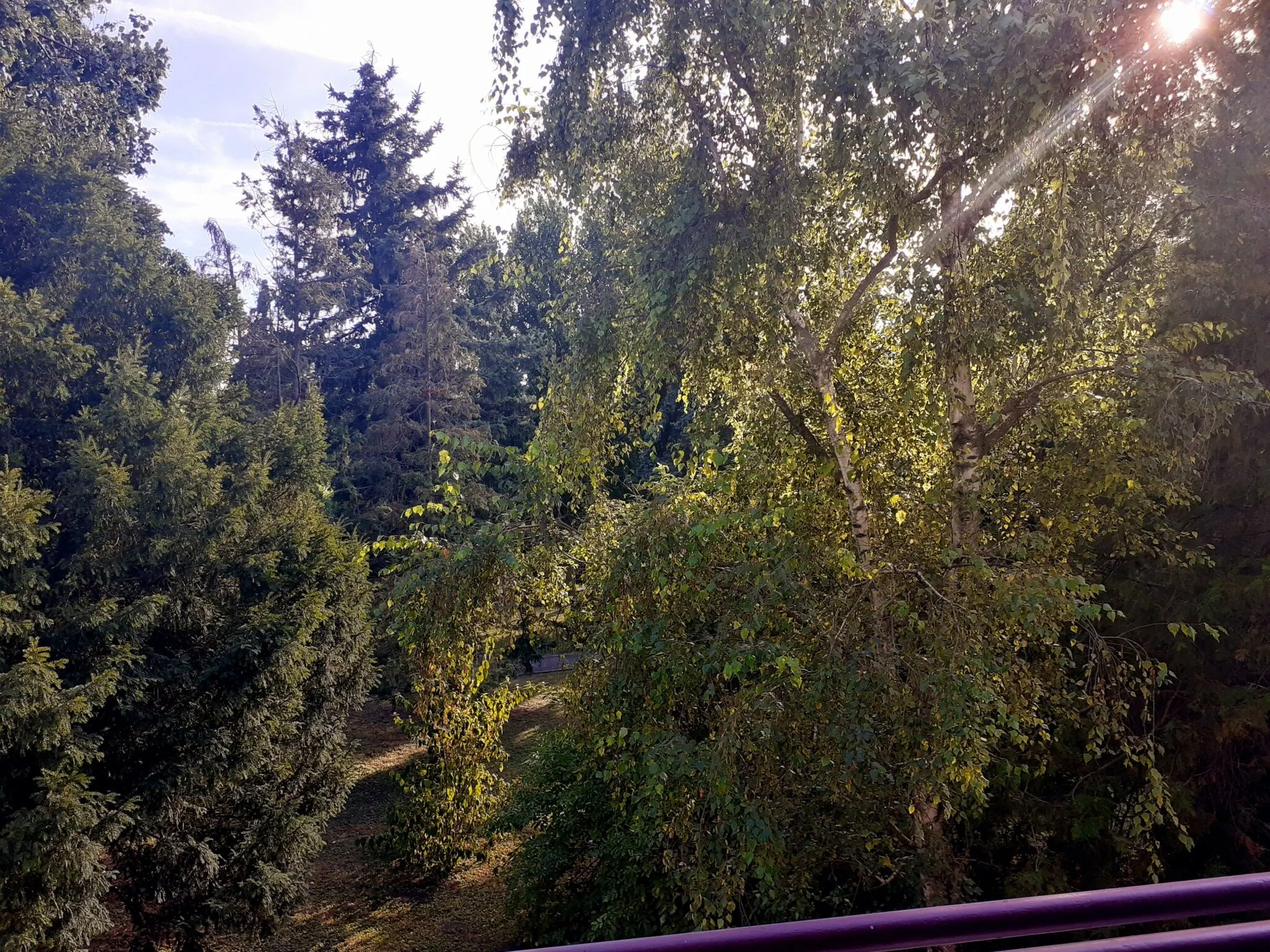 Annamária Apartman Csopak - foto 4