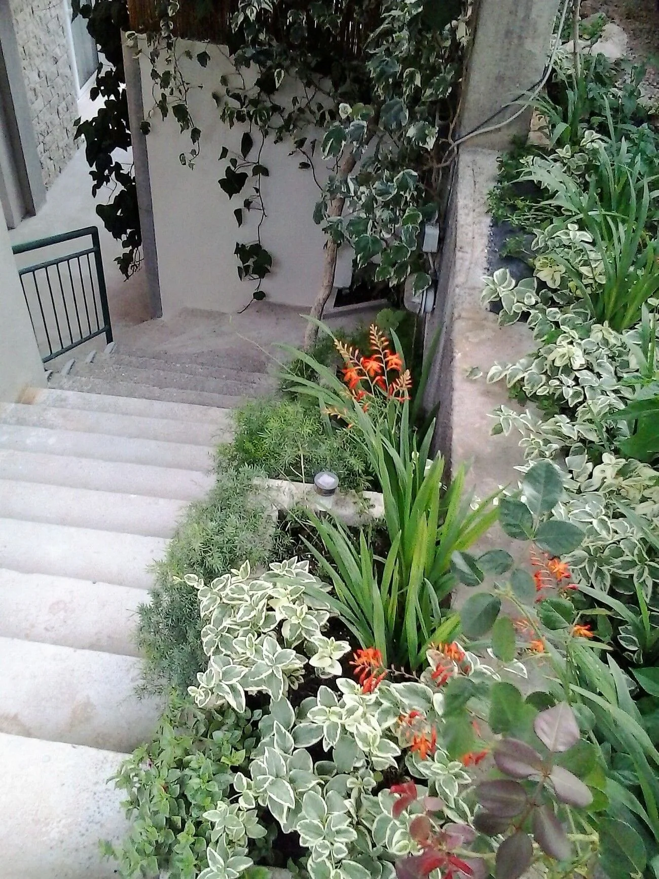 Apartments And Rooms By The Sea Drašnice, Makarska - 22573 Drašnice – Drašnice, Chorvatsko