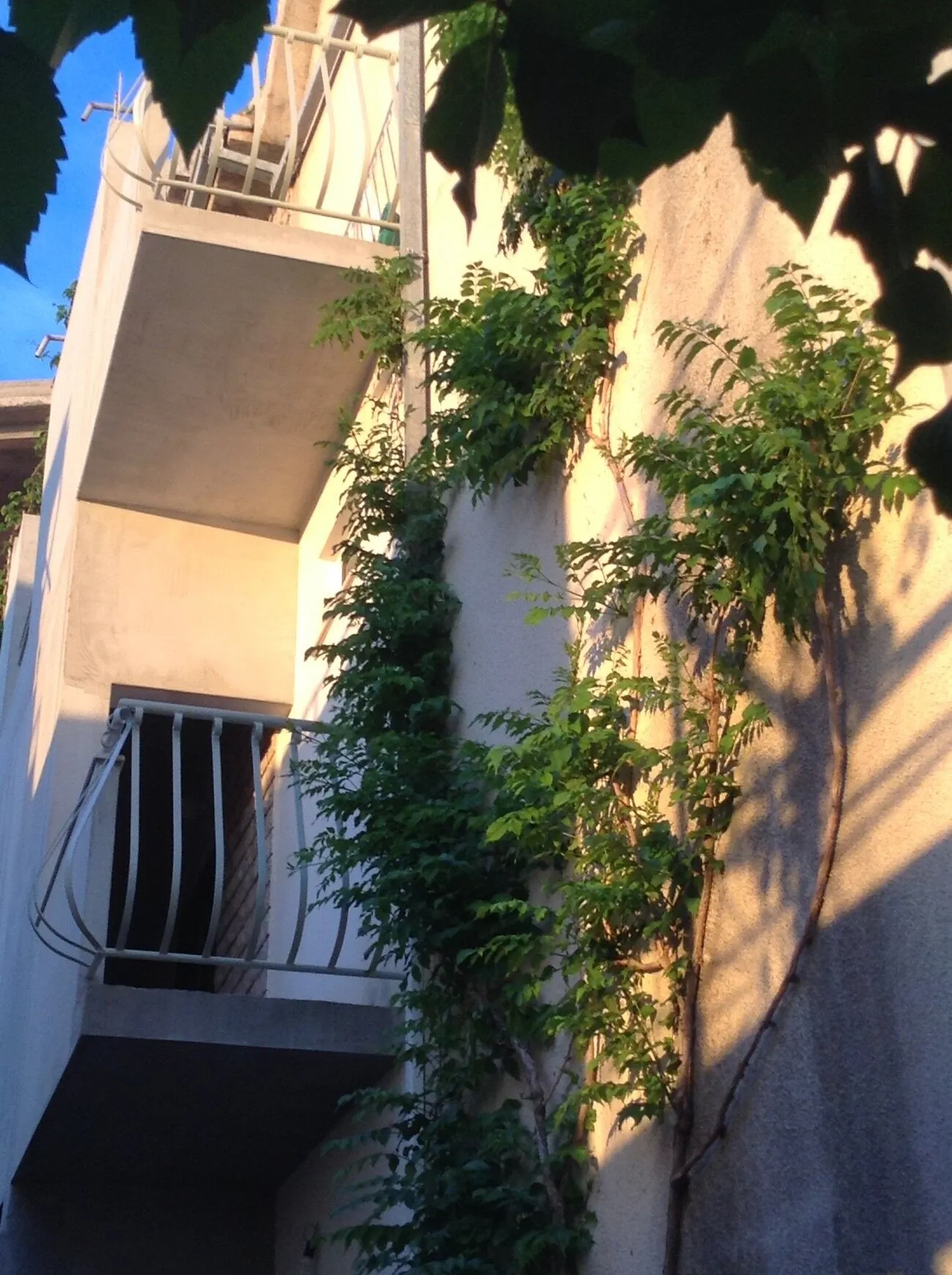 Apartments And Rooms By The Sea Drašnice, Makarska - 22573 Drašnice – Drašnice, Chorvatsko
