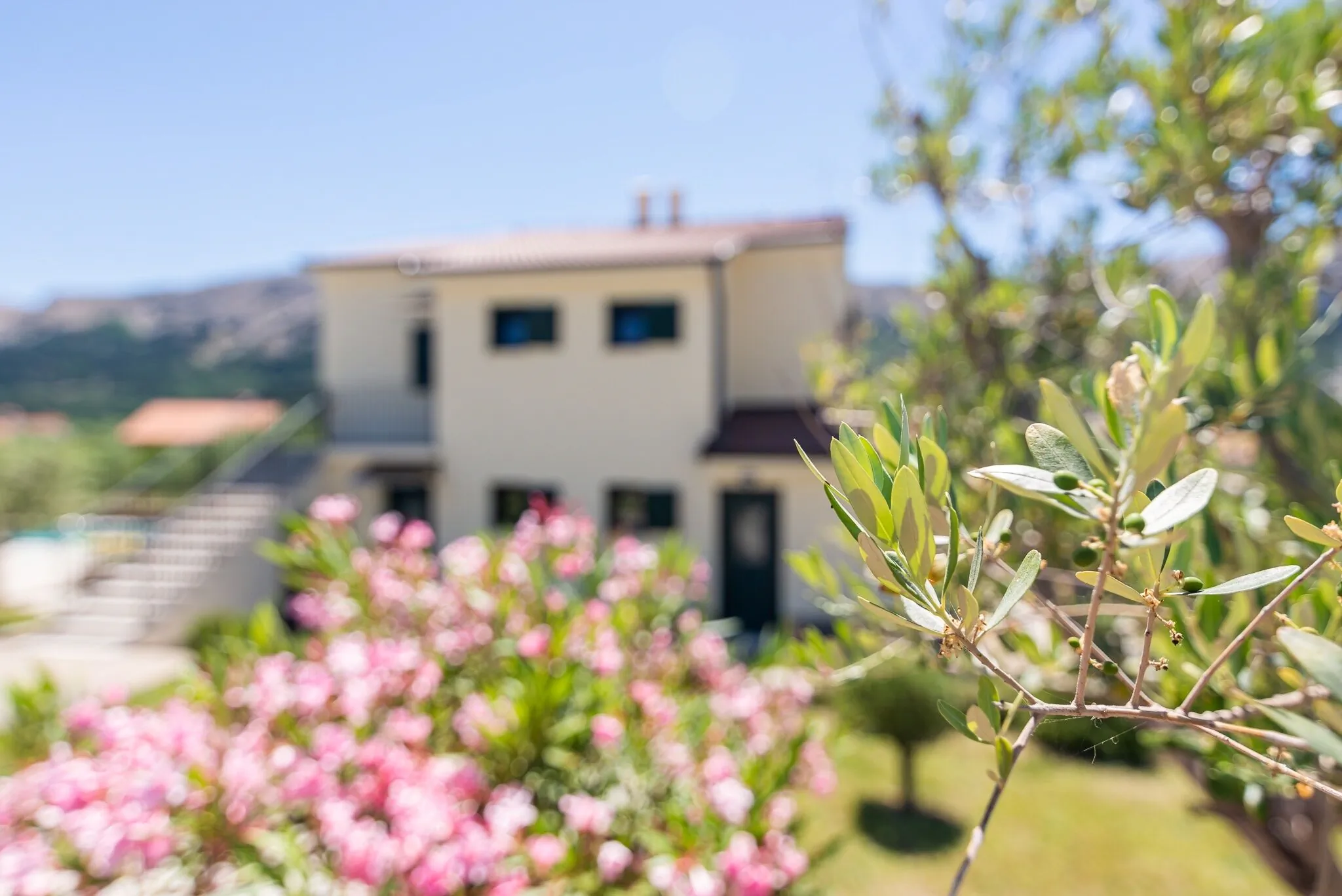 Apartmani Garden Jurandvor – Jurandvor, Croația