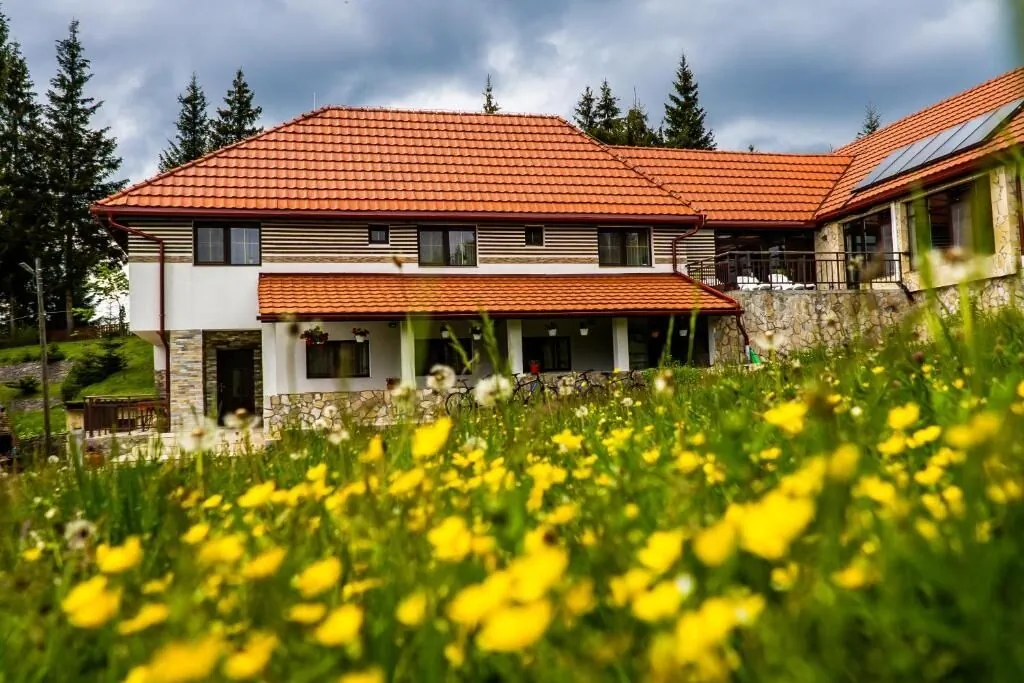 Pensiunea Romconcord Bălcești – Bălcești, România