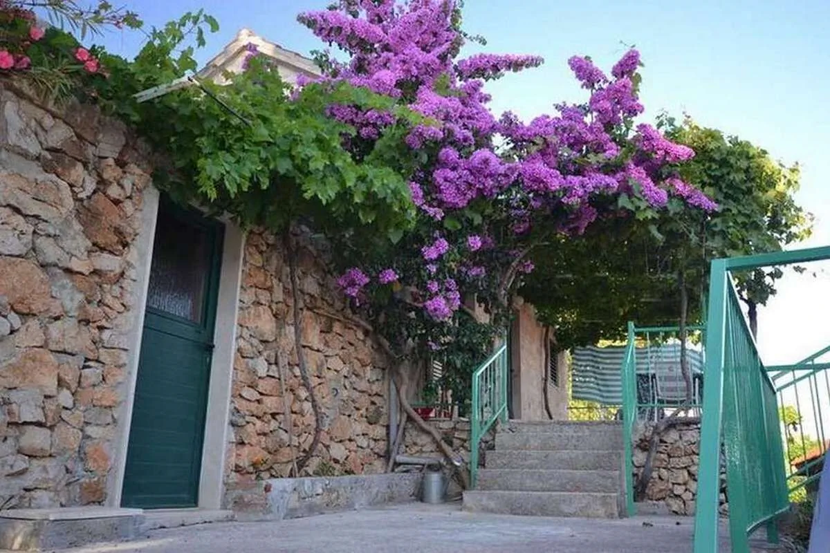 Apartments With Parking Space Murvica, Brač - 23462 Murvica - foto 1