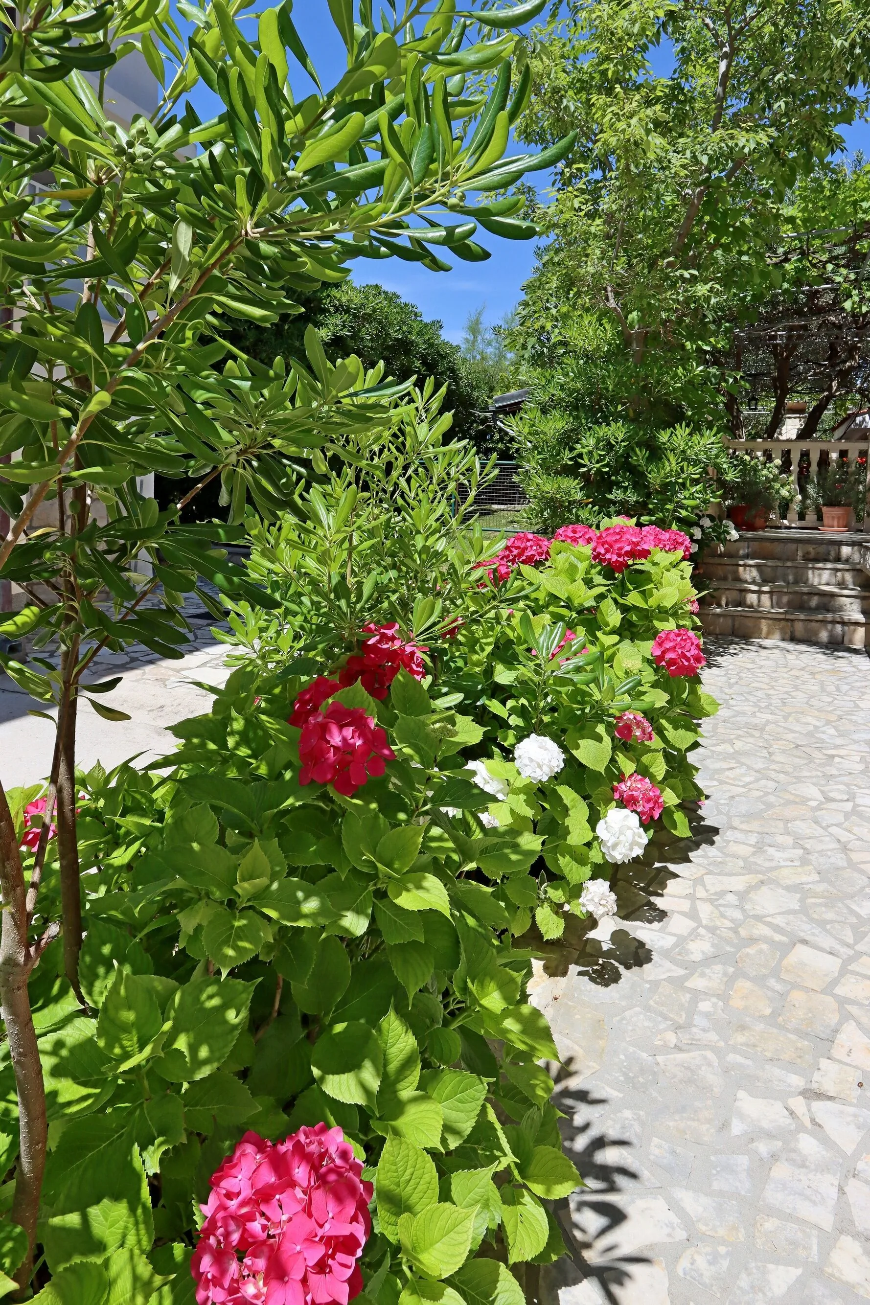 Apartments With Parking Space Lopar, Rab - 23747 Lopar - foto 9