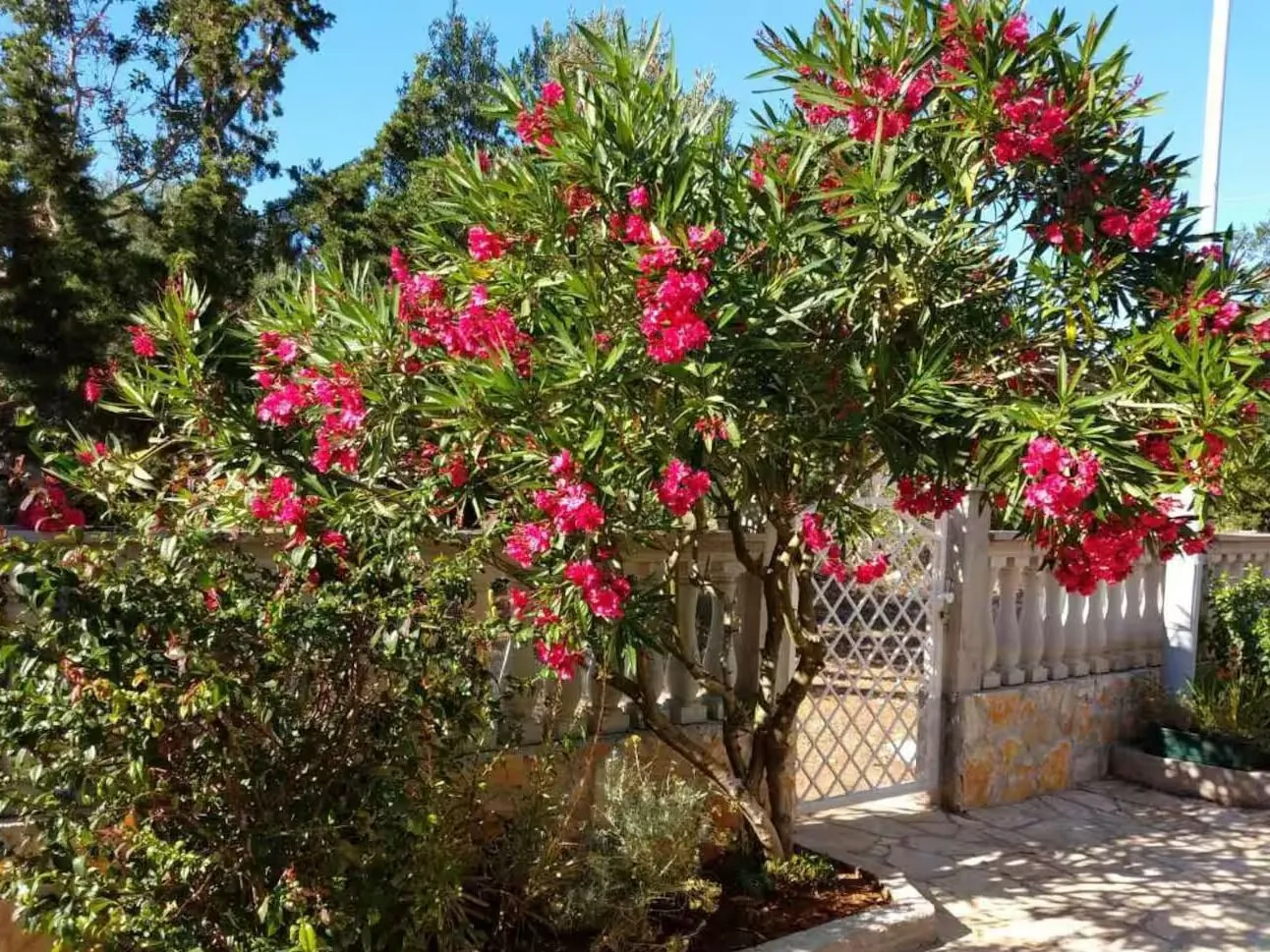 Apartments With Parking Space Rudina, Hvar - 23777 Rudina – Rudina, Chorvatsko